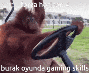 Burak Oyunda Gaming Skills Forza Horizon 4 GIF - Burak Oyunda Gaming Skills Forza Horizon 4 Forza Horizon GIFs
