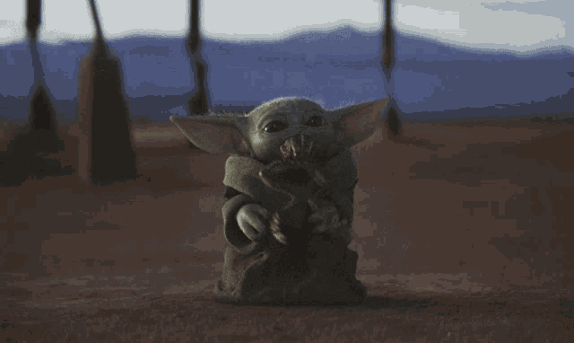 Starving Baby Yoda GIF - Starving Baby Yoda Frog GIFs