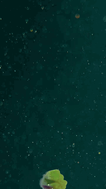 Underwater Swim GIF - Underwater Water Swim GIFs