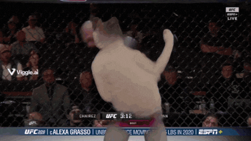 a ufc fight is being shown live on espn