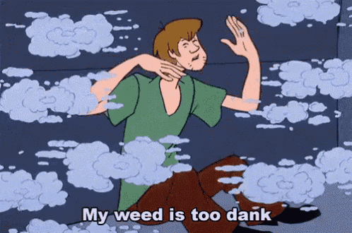 shaggy from scooby doo is surrounded by smoke and says " my weed is too dank "