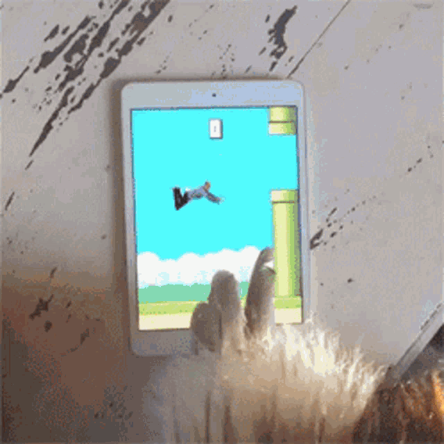 Flappy Bird Falco GIF - Flappy Bird Falco Human GIFs