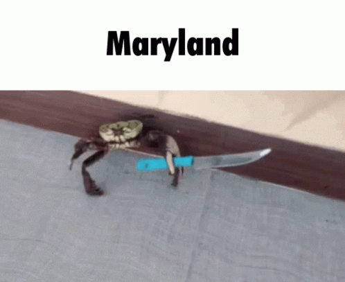 Maryland Crab GIF - Maryland Crab Knife GIFs