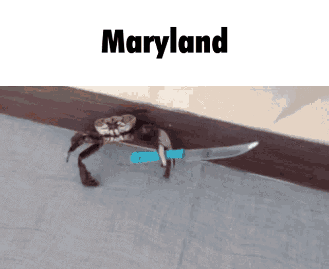 a crab is holding a knife with the word maryland written above it