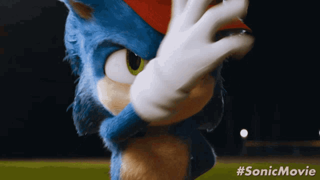 a close up of sonic the hedgehog covering his face