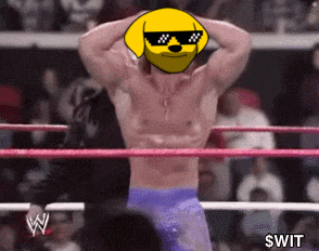a man in a wrestling ring with a yellow dog head