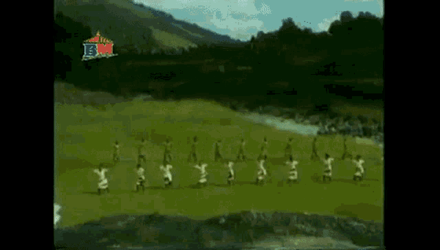 a group of people are dancing in a field with a bm logo on the bottom right