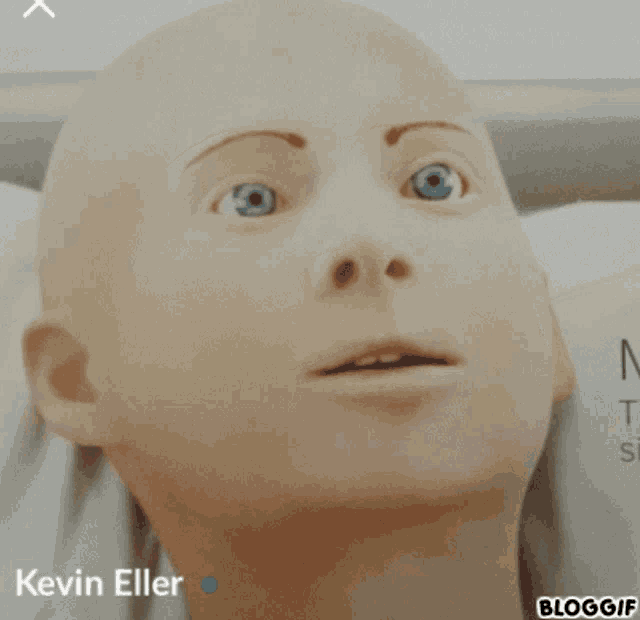 a picture of a bald head with blue eyes and the name kevin eller on the bottom