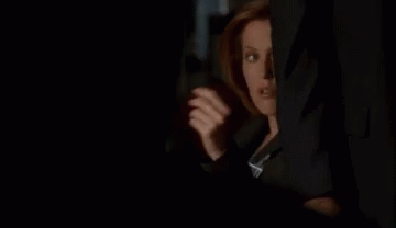 Xfiles Scully GIF - Xfiles Scully Skinner GIFs