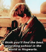 Fantastic Beasts Fantastic Beasts And Where To Find Them GIF - Fantastic Beasts Fantastic Beasts And Where To Find Them Wizarding School GIFs