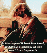 Fantastic Beasts Fantastic Beasts And Where To Find Them GIF