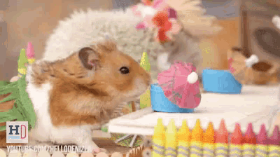 a hamster eating a pink cupcake on a table with crayons