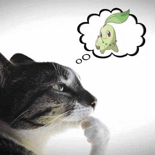 a cat thinking about a pokemon with a thought bubble