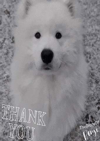 a picture of a white dog with the words thank you written below it