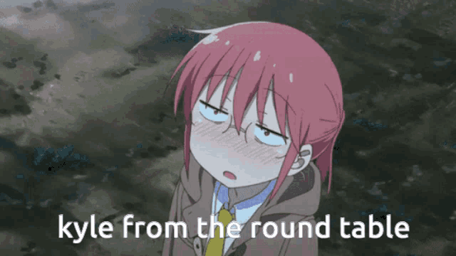a picture of a girl with kyle from the round table written below her