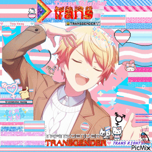 a picture of a transgender anime character with the word trans on it