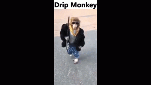 Drip Monkey GIF - Drip Monkey GIFs