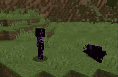a purple minecraft character is standing next to another purple minecraft character in a field .