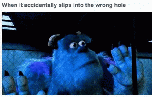 Sully Accidentally Slips GIF - Sully Accidentally Slips Wrong Hole GIFs