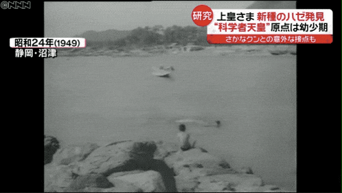 a black and white photo of a man sitting on a rock near a body of water in 1949