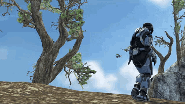 a video game character stands on a hill looking at trees