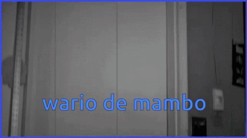 Wario Wario De Mambo GIF - Wario Wario De Mambo Nintendo GIFs