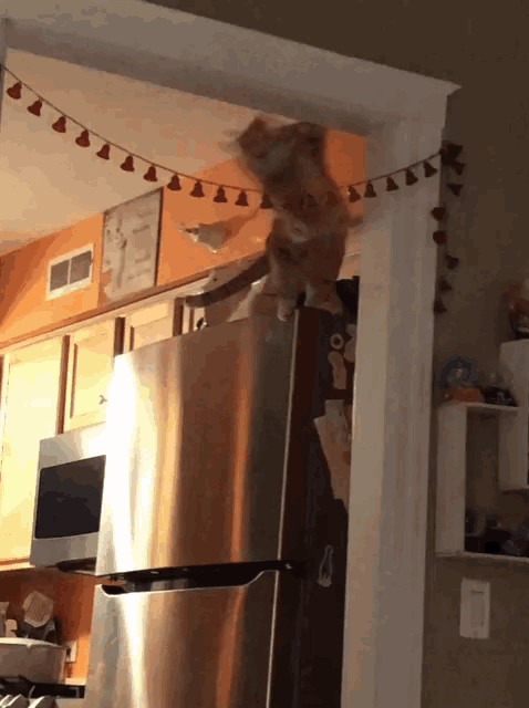 a stainless steel refrigerator in a kitchen with a clock on the wall
