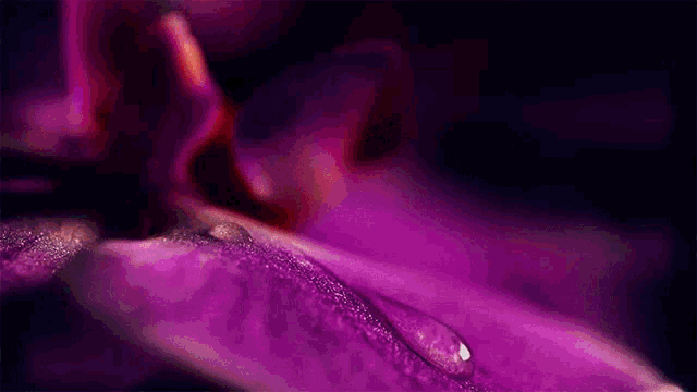 a close up of a purple flower with the word baby written on it