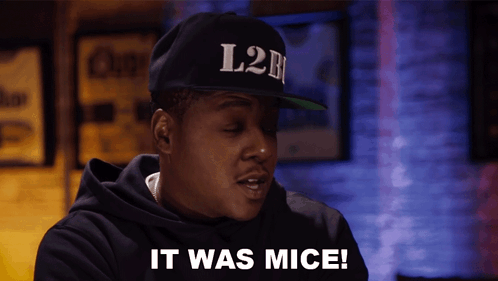 It Was Mice Jadakiss GIF - It Was Mice Jadakiss It Was Rats GIFs