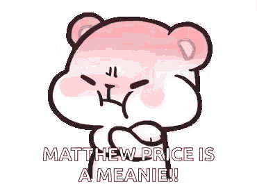 a pink teddy bear is making a funny face and saying `` matthew price is a meanie '' .