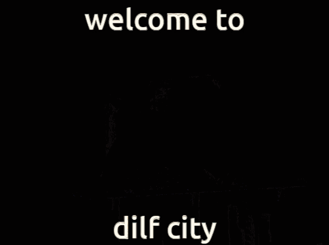 a picture of a city with the words welcome to dilf city at the bottom