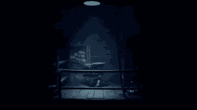 a dark room with a wooden floor and a fence in the background .