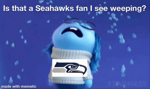 Seahawks Fan GIF - Seahawks Fan GIFs