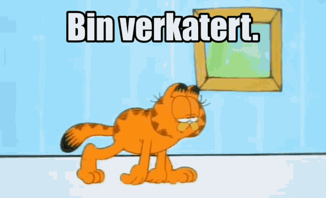 Garfield Verkatert GIF - Garfield Verkatert Kater GIFs