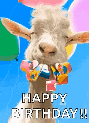a goat with balloons in its mouth is holding a party horn .