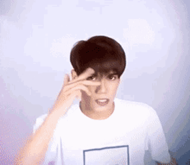 Stell Stell Vester GIF