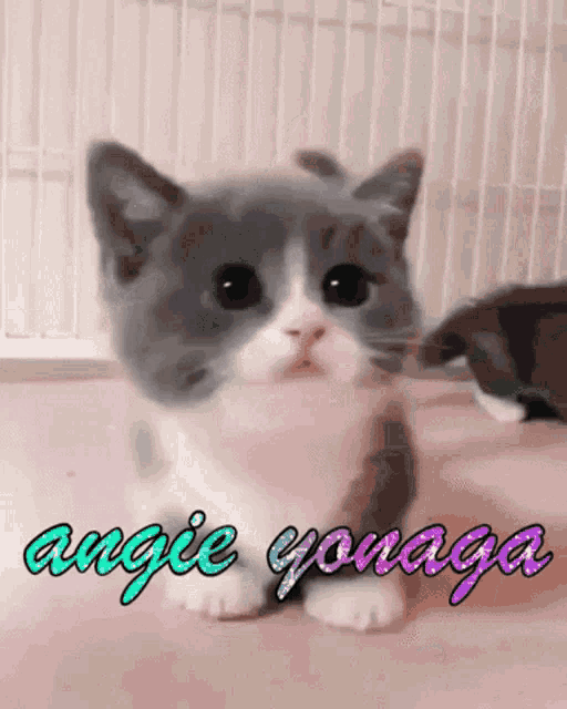 Angie Angie Yonaga GIF - Angie Angie Yonaga Danganronpa GIFs