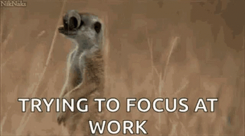 Trying To Focus At Work GIF