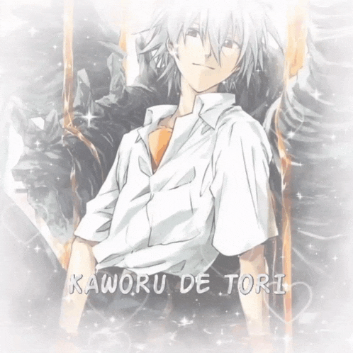 a drawing of a boy with the name kaworu de tori on the bottom