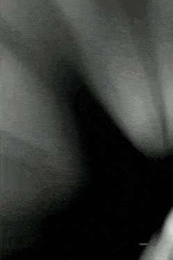 a black and white photo of a flower in a dark room .