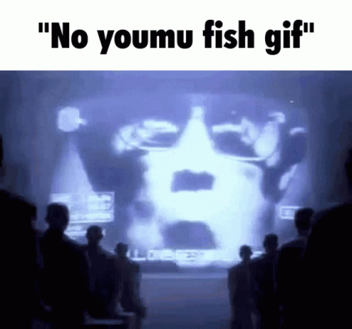 1984 No Youmu Fish Gif GIF - 1984 No Youmu Fish Gif Discord GIFs