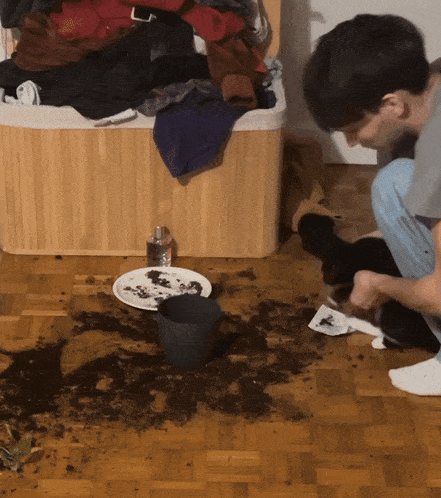 a bottle of eau de toilette sits on a messy floor next to a plate