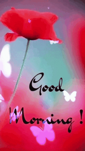 a red flower with butterflies and the words good morning