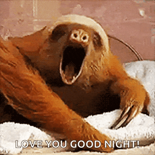 a sloth is yawning with its mouth wide open and the words love you good night .