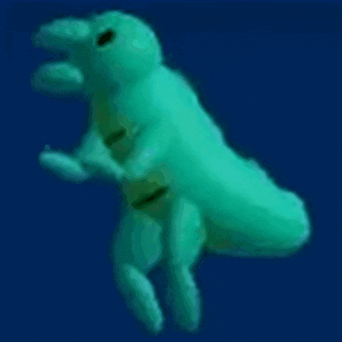 a drawing of a frog with a hole in its head