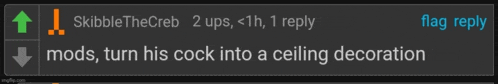 a screenshot of a reply from skibblethecreb