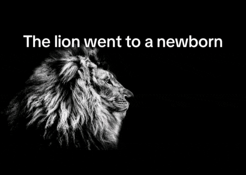 a black and white photo of a lion with the words " the lion went to a newborn " above it