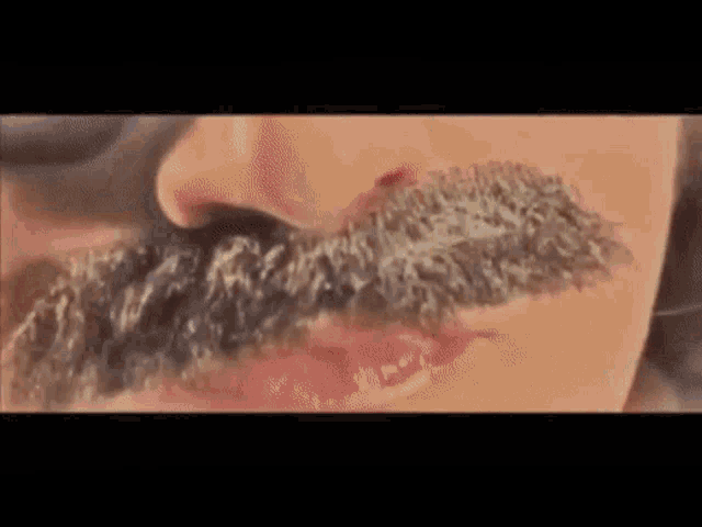 a close up of a man with a fake mustache .