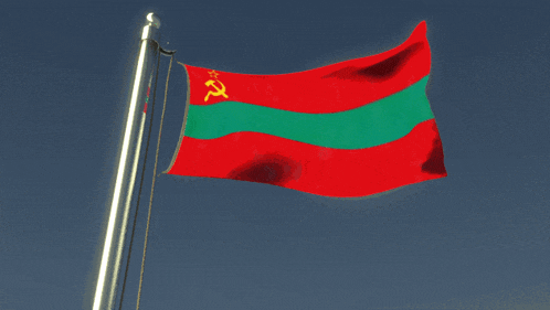 a red green and yellow flag with a hammer and sickle on it
