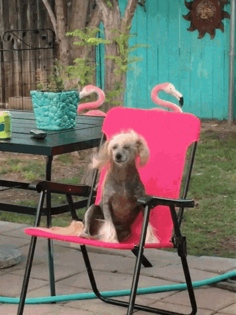a small dog is sitting in a pink chair with flamingos on the back